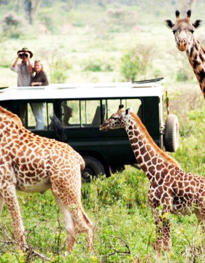 Top 5 Places to Stay During the Great Migration in Kenya