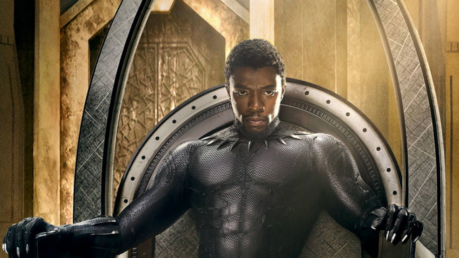 Black Panther Hero