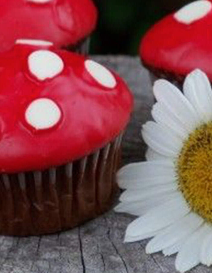 AG Recipe: Adorable Toadstool Cupcakes