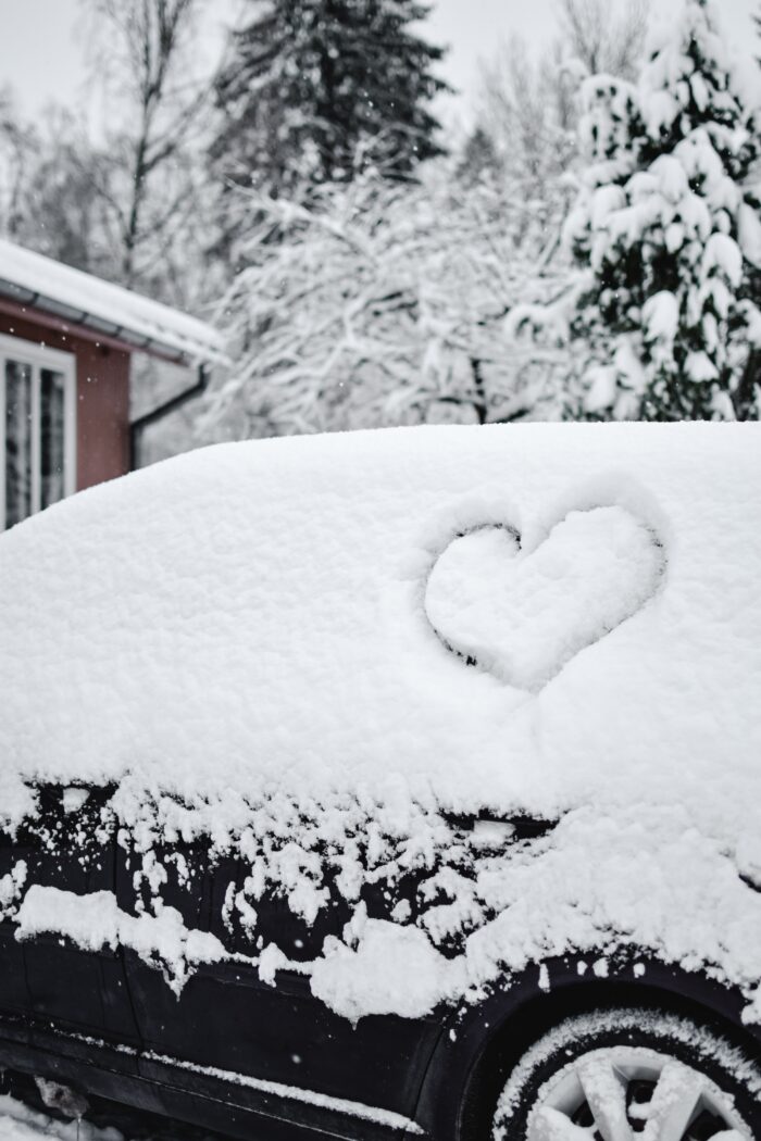 The Art of Loving Snow Days