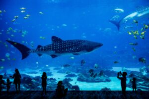 Aquariums of the world