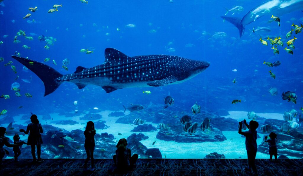 unique Aquariums of the world