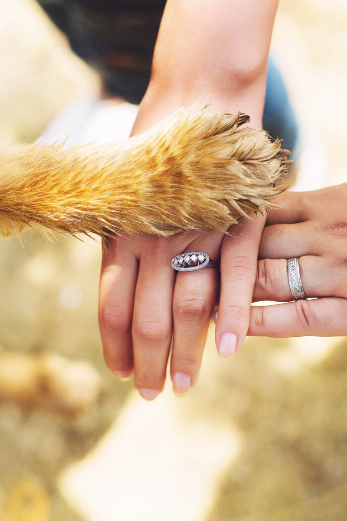 Fur-ever Love: 17 Fetching Ideas for Including Your Dog in Your Nuptials