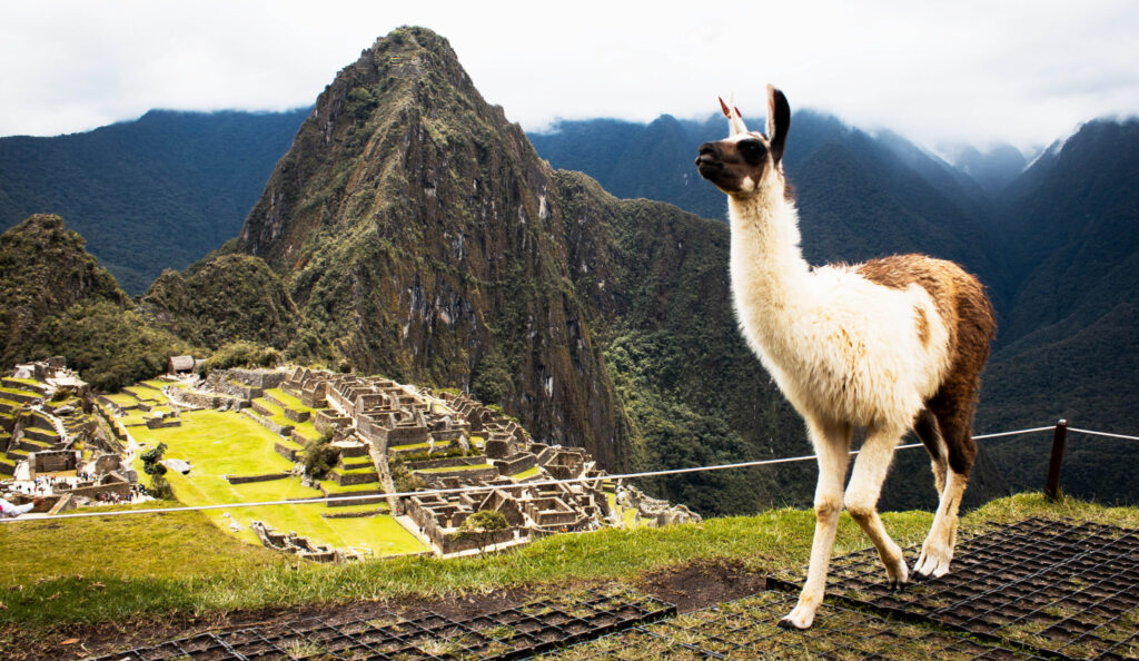 Machu Picchu Peru adventuregirl.com