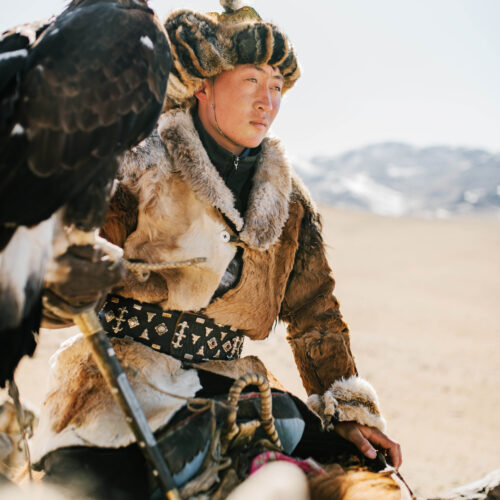 Eagle hunting Mongolia