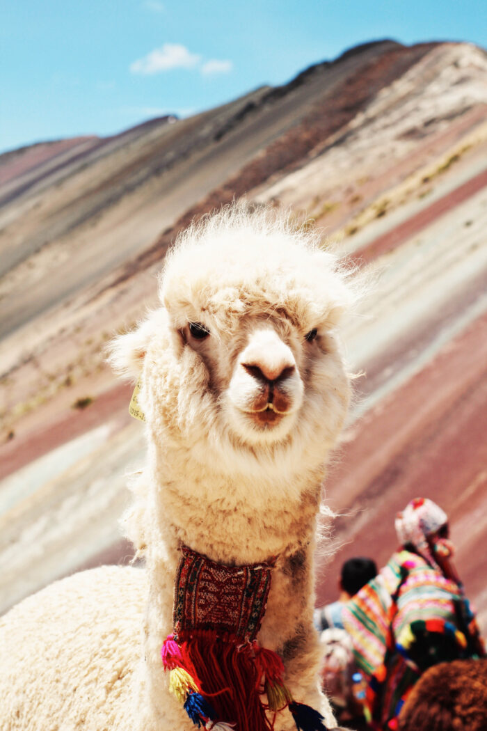 Discover the Best Ways to Travel from Lima to Cusco: Your Ultimate Guide
