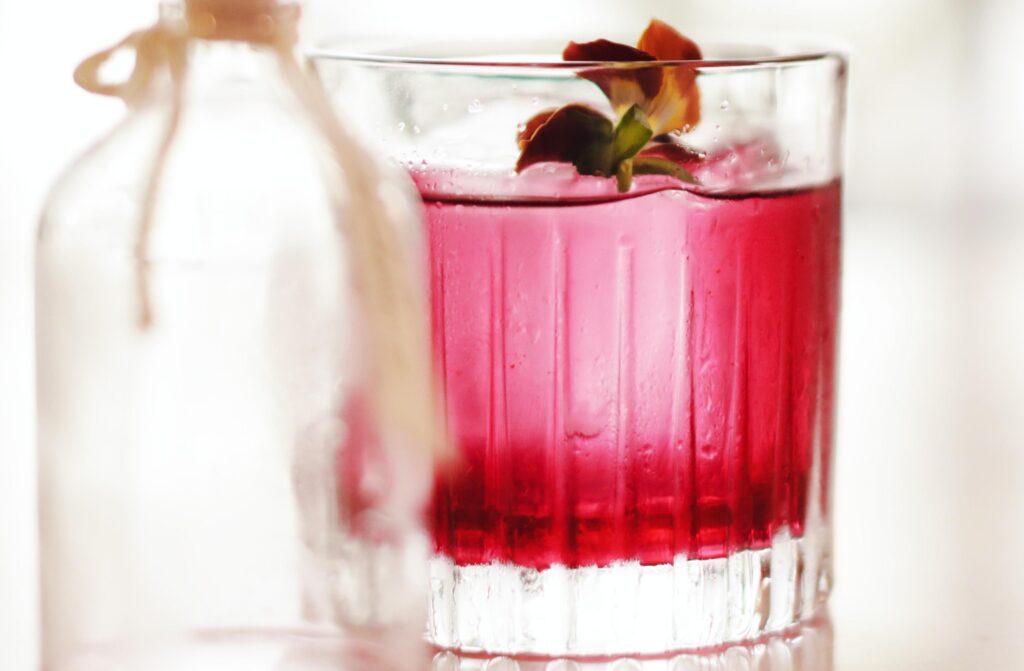 Cranberry Hibiscus Spritz cocktail recipe adventuregirl.com