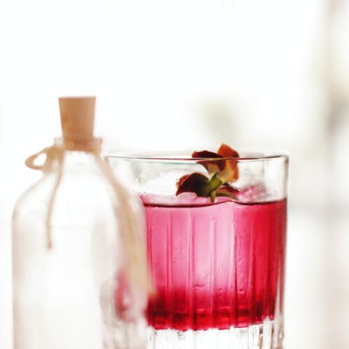 Cranberry Hibiscus Spritz Cocktail recipe adventuregirl.com