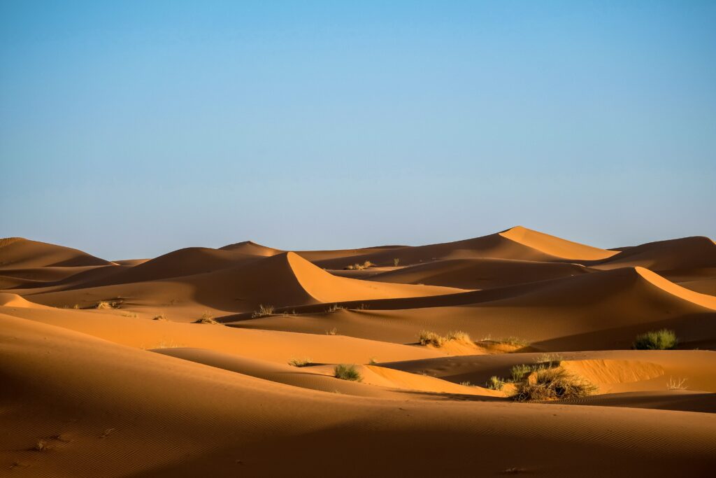 desert landscapes 